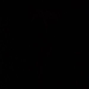 Meet your Posher, Kam